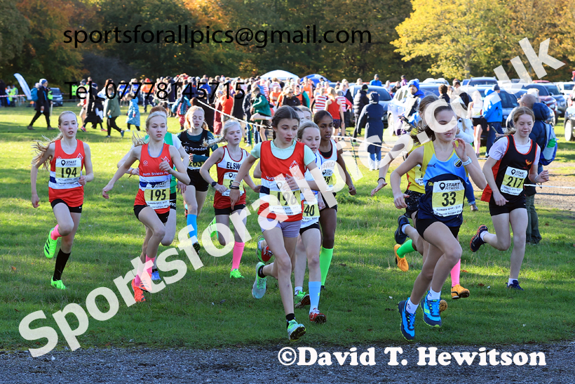 Girls Under-13s, 2025 Start Fitness NEHL, Lambton, County Durham. Photo: David T. Hewitson/Sports for All Pics